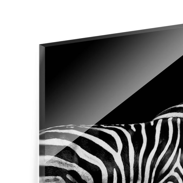 Quadro in vetro - Zebra In The Dark - Quadrato 1:1