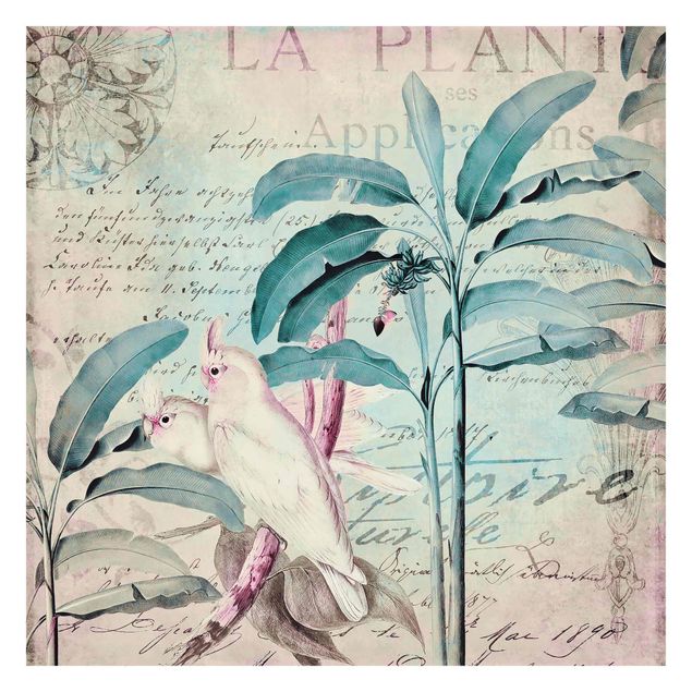Carta da parati vintage Collage in stile coloniale - Cacatua e palme