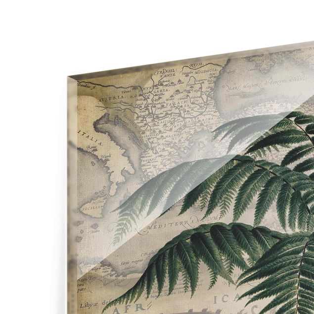 Quadri Collage vintage - Palma e mappa del mondo