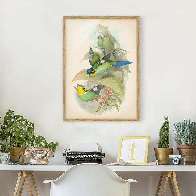 Quadri con cornice con fiori Illustrazione vintage Uccelli tropicali