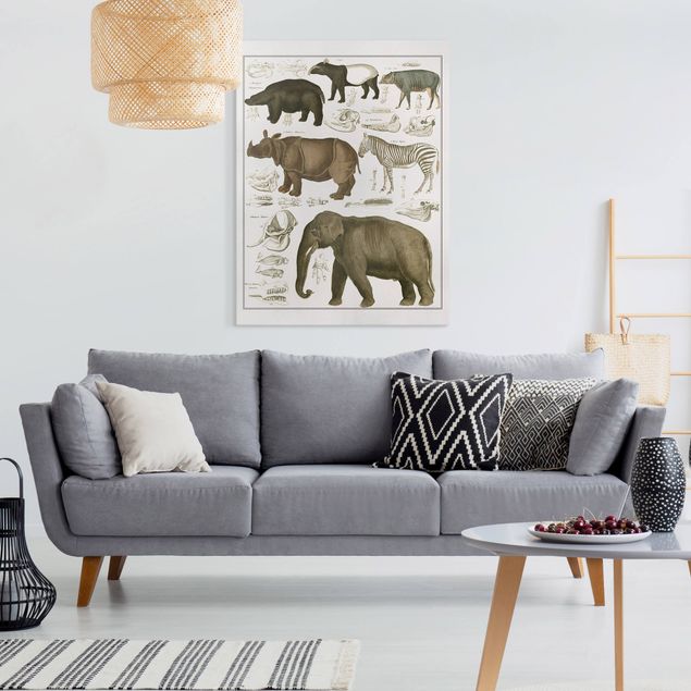 Quadri Africa Bacheca Vintage Elefante, zebra e rinoceronte
