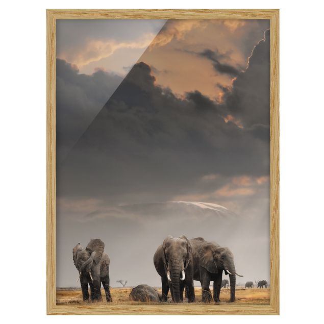 Quadri con cornice con paesaggio Elefanti nella savana