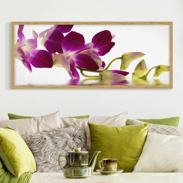 Quadri con cornice con fiori Acque di orchidee rosa