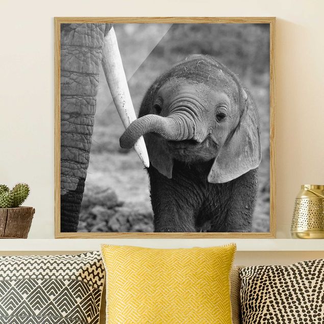 Elefante quadro Elefantino