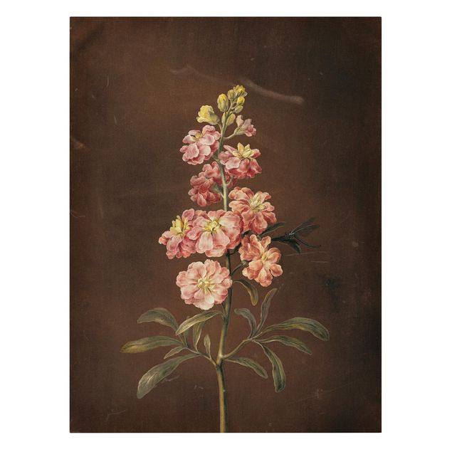 Riproduzioni quadri Barbara Regina Dietzsch - Una gigliofiore rosa chiaro
