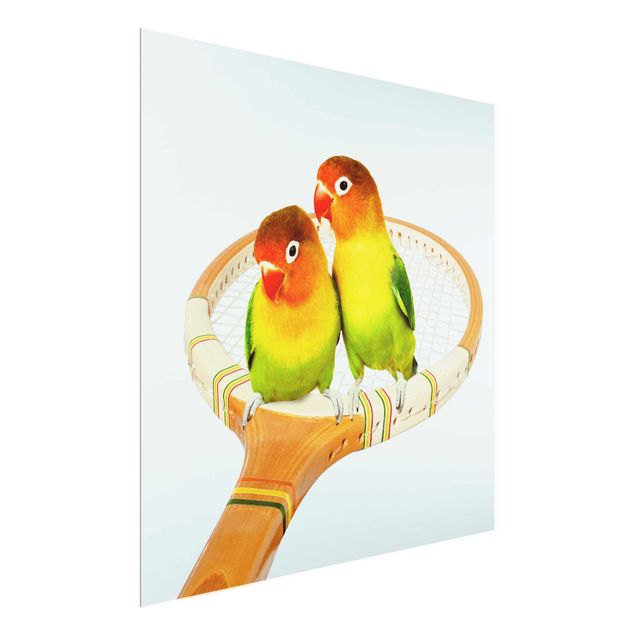 Quadri in vetro con animali Tennis con uccelli