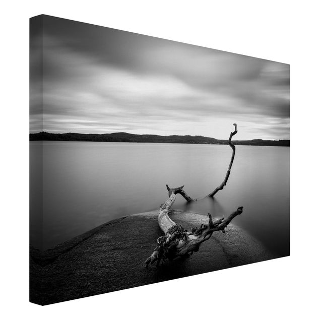 Quadri su tela paesaggio Tramonto in bianco e nero sul lago