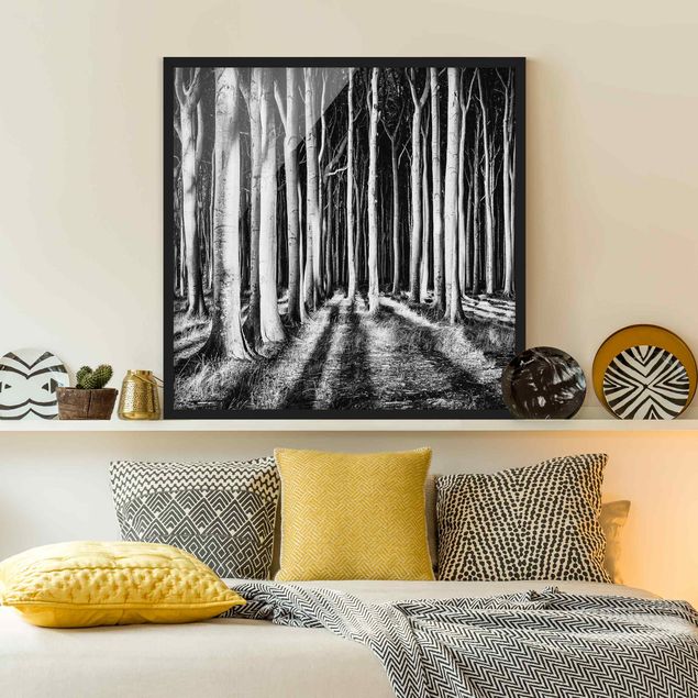 Quadro alberi Foresta spettrale