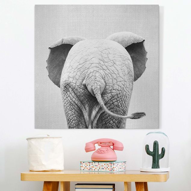 Quadri su tela con elefanti Elefantino da dietro bianco e nero