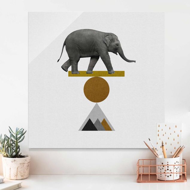 Quadro con elefante Arte dell'equilibrio - Elefante