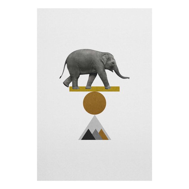 Quadri stampe Arte dell'equilibrio - Elefante