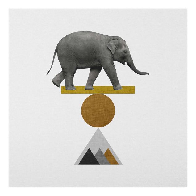 Quadri stampe Arte dell'equilibrio - Elefante