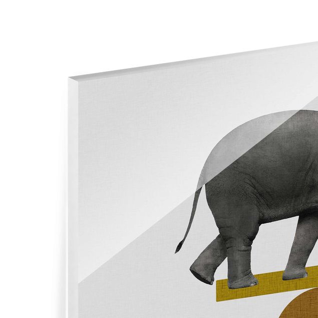 Quadro in vetro - Elefante nell'arte dell'equilibrio