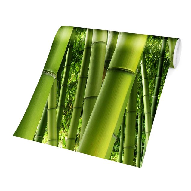 Carta da parati paesaggio Alberi di bambù