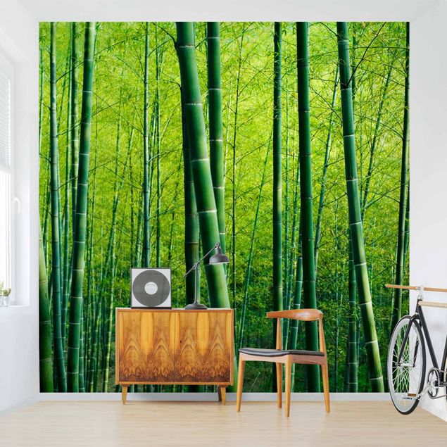 Carta da parato 3d Foresta di bambù