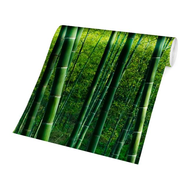 Carta da parati moderne Foresta di bambù