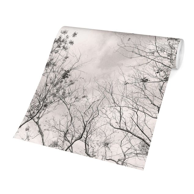 Carta da parati a fiori Cime degli alberi nel cielo grigio dai toni grigio-caldo
