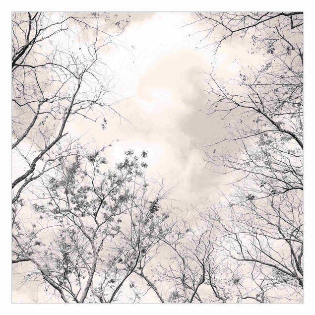Carta da parati con paesaggi Cime degli alberi nel cielo grigio dai toni grigio-caldo