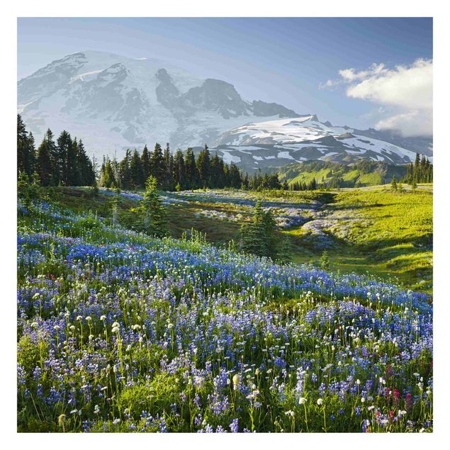 Carta da parati moderne Prato di montagna con fiori blu davanti al monte Rainier
