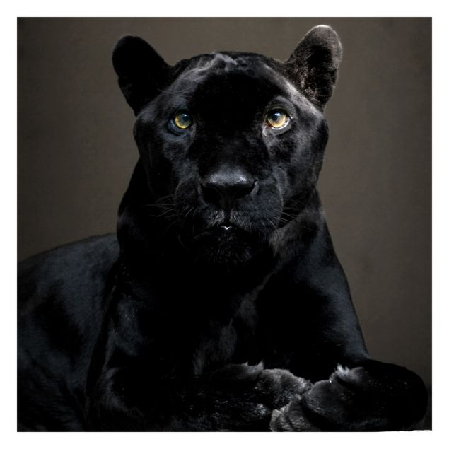 Carta da parati nero Puma nero