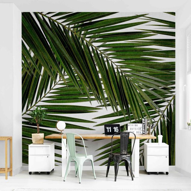 Carte da parati moderne Vista attraverso le foglie di palma verde