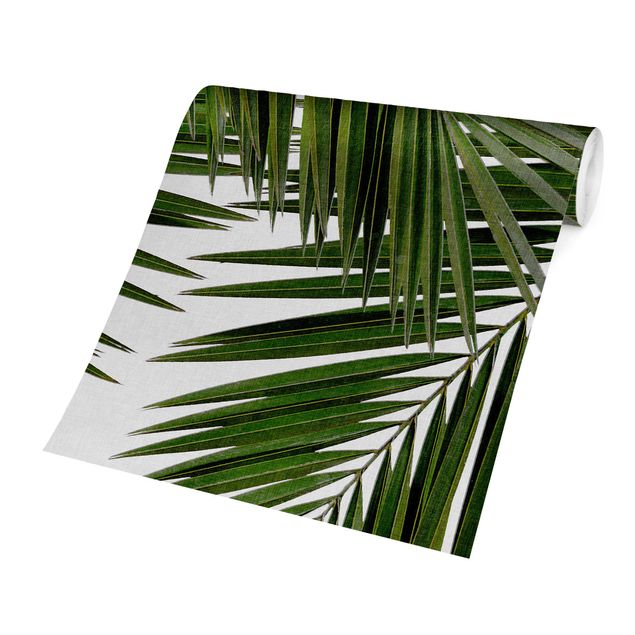 Carte da parati paesaggio Vista attraverso le foglie di palma verde