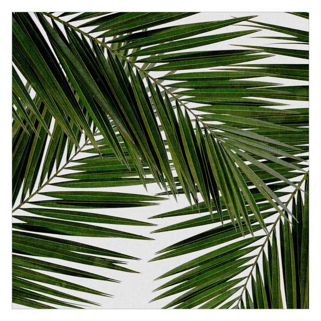 Carte da parati verdi Vista attraverso le foglie di palma verde