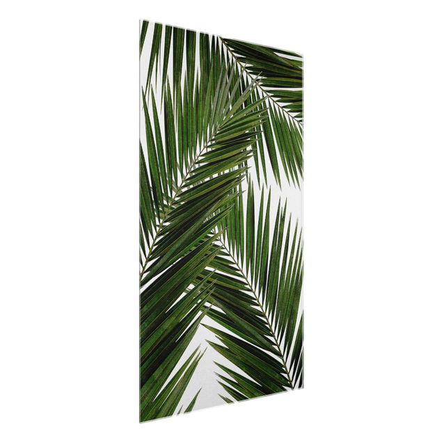 Riproduzione quadri famosi Vista attraverso le foglie di palma verde