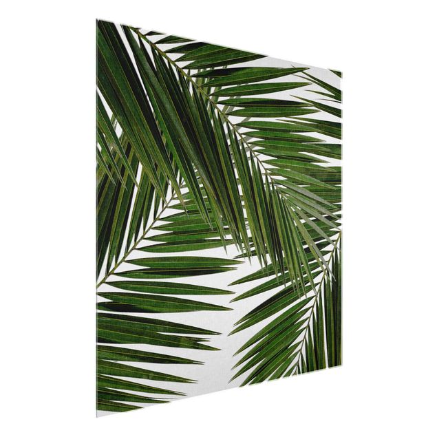 Riproduzione quadri famosi Vista attraverso le foglie di palma verde