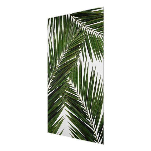 Stampe Vista attraverso le foglie di palma verde