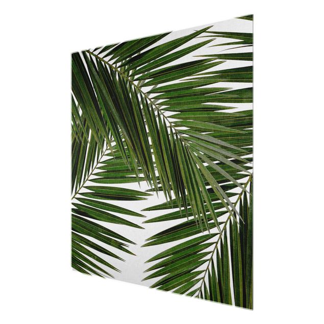 Stampe Vista attraverso le foglie di palma verde