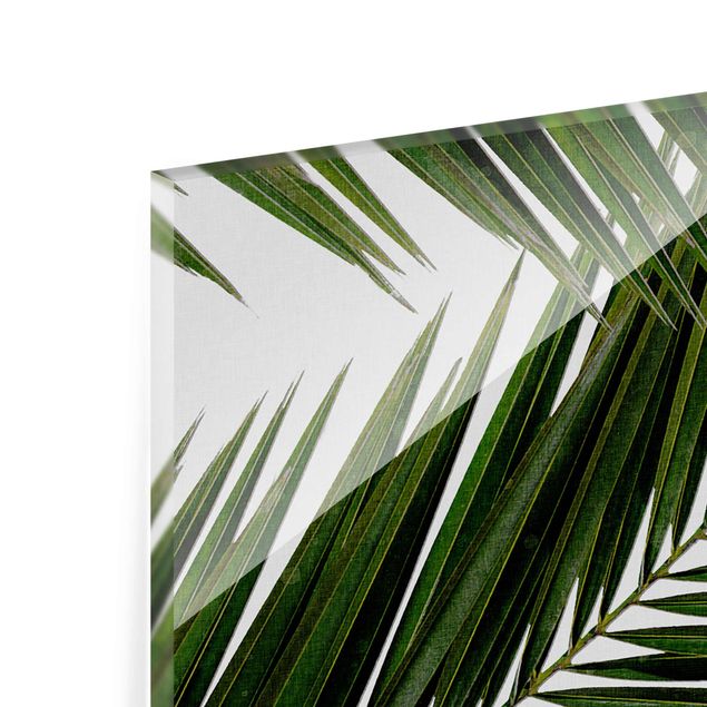 Glas Magnettafel Vista attraverso le foglie di palma verde