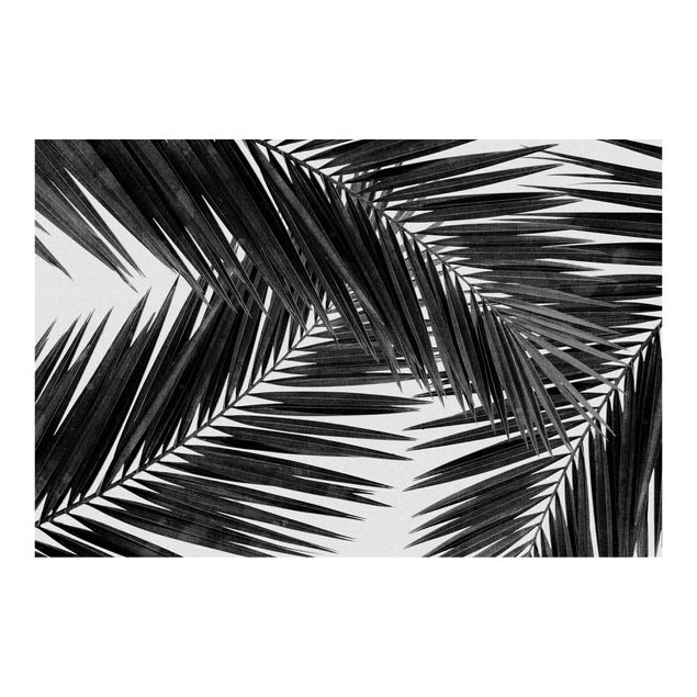 carta da parete Vista tra le foglie di palme in bianco e nero
