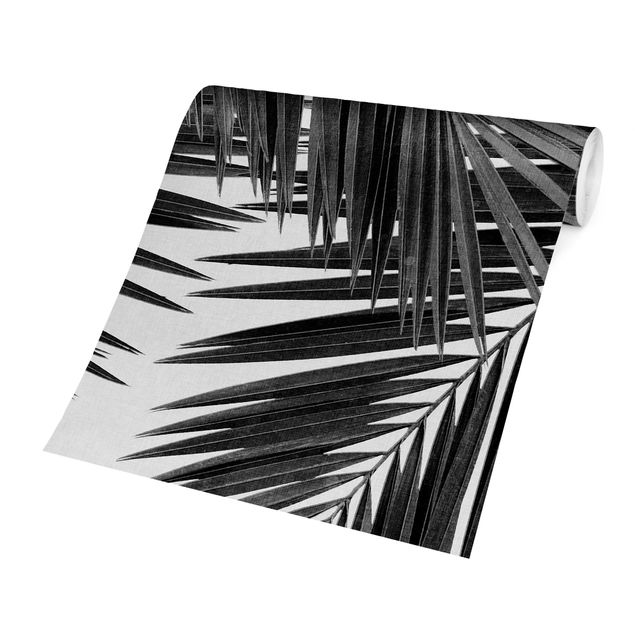 Carta da parati con paesaggi Vista sulle foglie di palma in bianco e nero