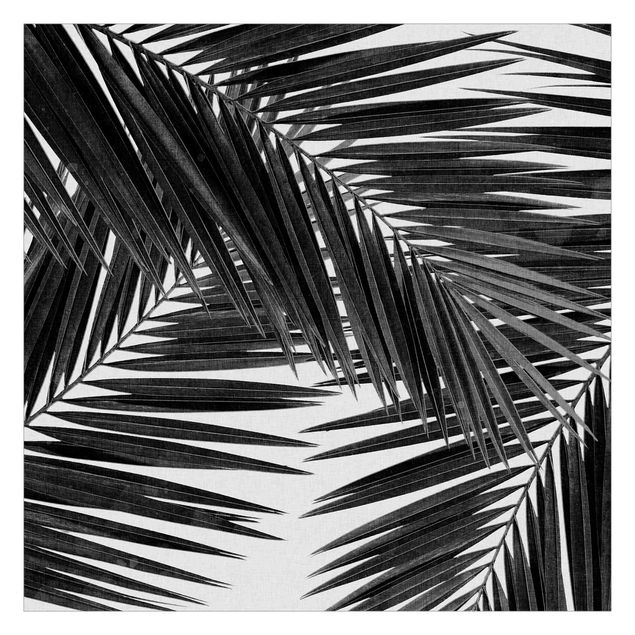 Carta da parati online Vista sulle foglie di palma in bianco e nero