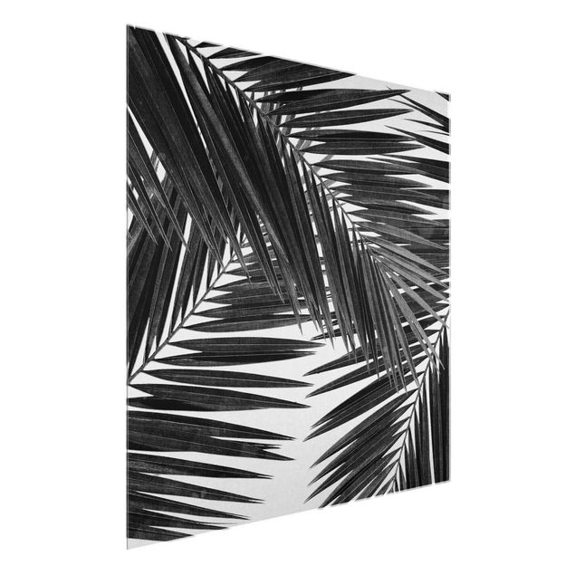 Quadri moderni per arredamento Vista sulle foglie di palma in bianco e nero