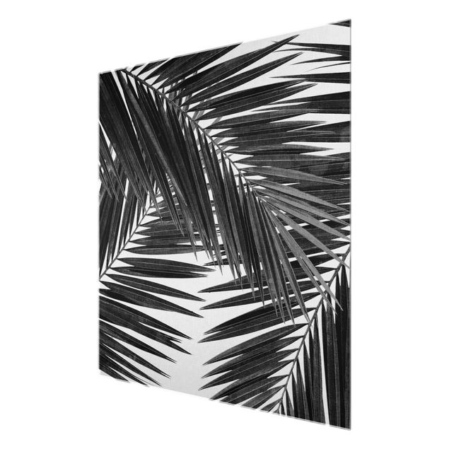 Glas Magnetboard Vista sulle foglie di palma in bianco e nero