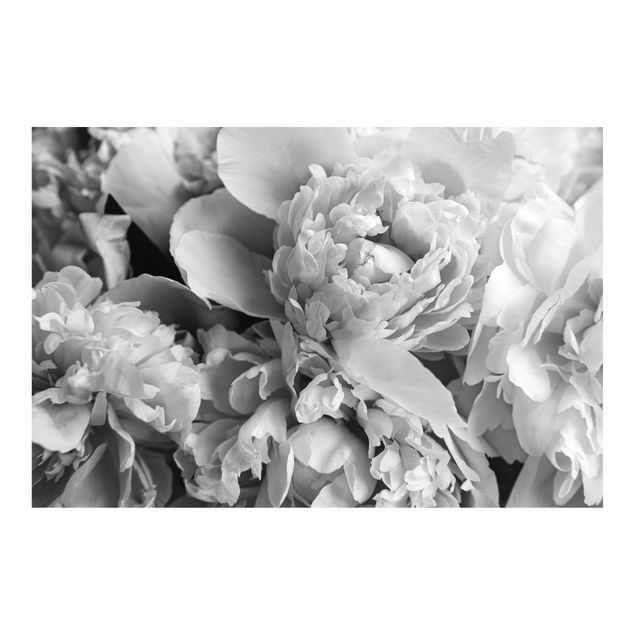 Carta da parati bianco nero Peonie in fiore bianco e nero