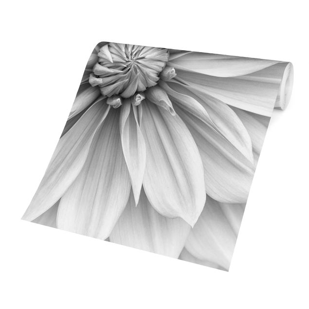 Carta da parati bianco nero Fiore botanico in bianco