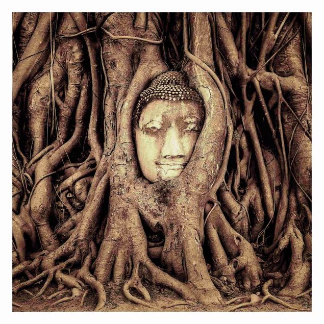 Carta parati vintage Buddha ad Ayutthaya rivestito dalle radici degli alberi in marrone