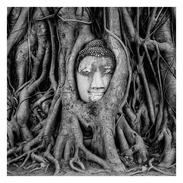 Carta da parati online Buddha ad Ayutthaya foderato di radici d'albero in bianco e nero