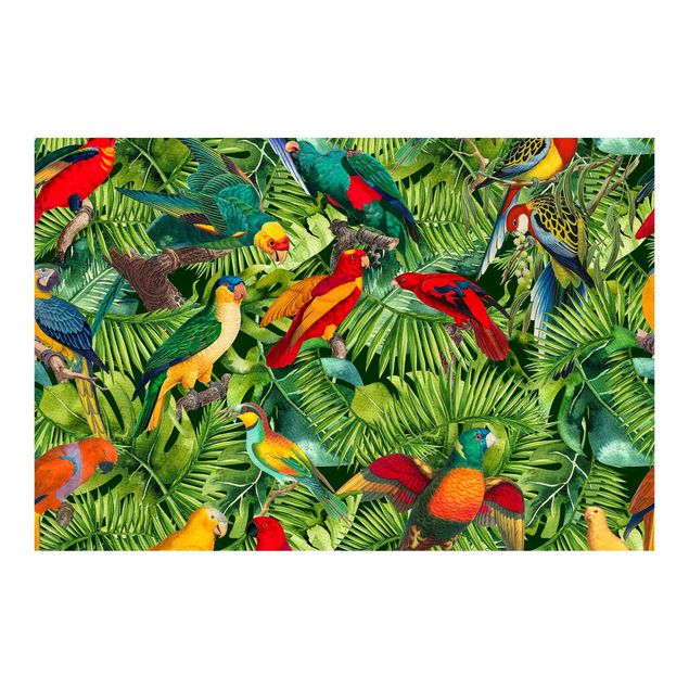 Carte da parati animali Collage colorato - Pappagalli nella giungla