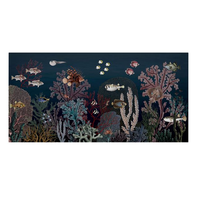 Quadro paesaggio Colorata barriera corallina di notte