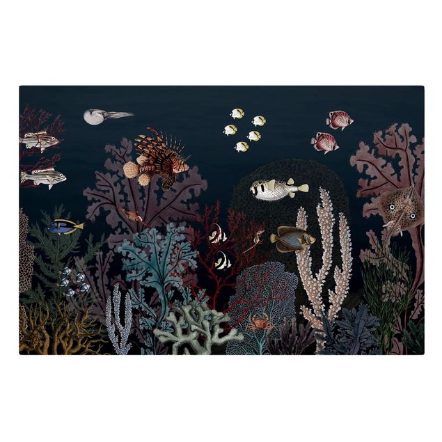 Quadri con paesaggio Colorata barriera corallina di notte