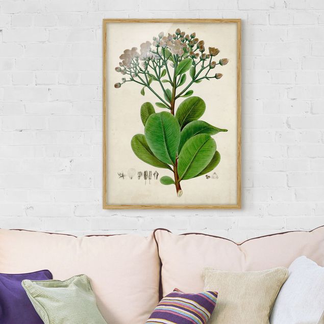 Quadri fiori Poster con piante caducifoglie VIII