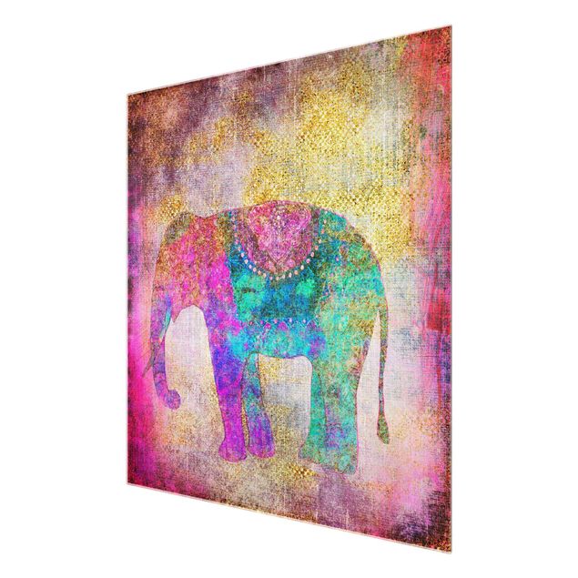 Quadri Andrea Haase Collage colorato - Elefante indiano