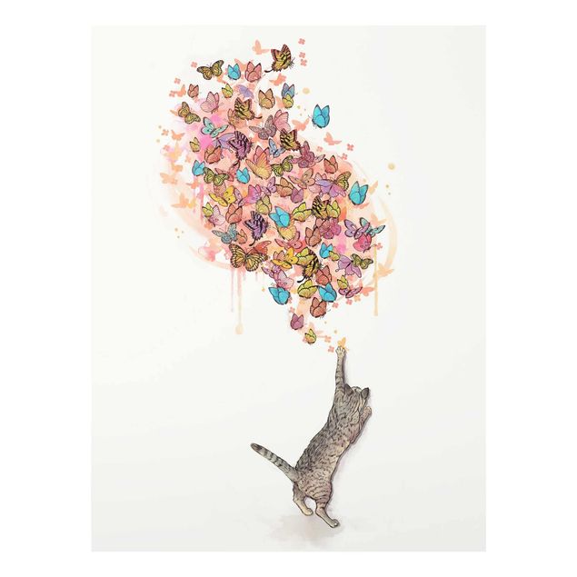 Quadri in vetro con animali Illustrazione - Gatto con farfalle colorate pittura