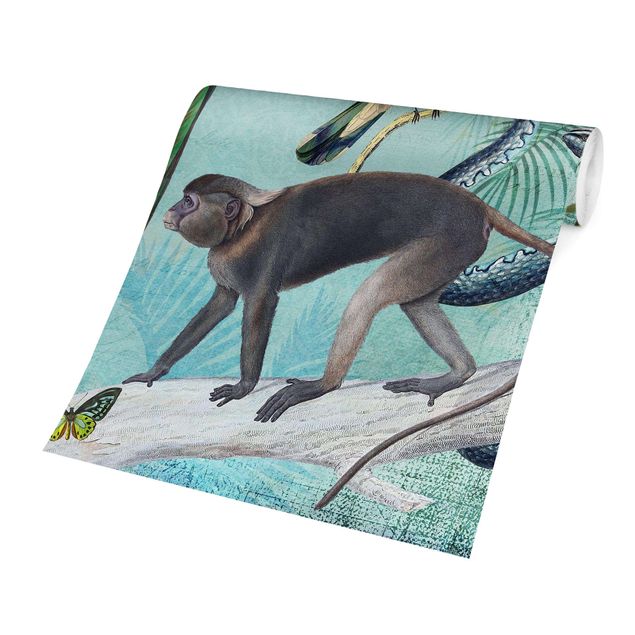 Carte da parati moderne Collage in stile coloniale - Scimmie e uccelli del paradiso