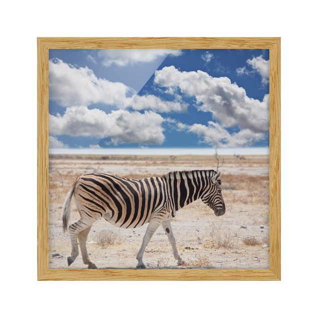 Quadri con cornice con paesaggio Zebra nella savana