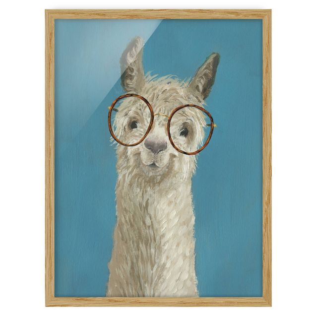 Quadri animali Lama con occhiali I
